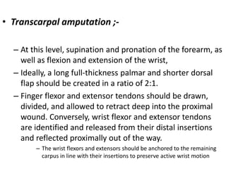 Lisfranc amputationamputation of the foot between the metatarsus and tarsus.