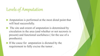 Levels of Amputation
 Amputation is performed at the most distal point that
will heal successfully.
 The site and extent of amputation is determined by
circulation in the area (and whether or not necrosis is
present) and functional usefulness ( for the use of a
prosthesis).
 If the cause for amputation is dictated by the
requirement to fully excise the tumor .
 