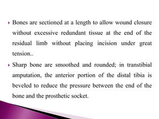 Bones are sectioned at a length to allow wound closure
without excessive redundant tissue at the end of the
residual limb without placing incision under great
tension..
 Sharp bone are smoothed and rounded; in transtibial
amputation, the anterior portion of the distal tibia is
beveled to reduce the pressure between the end of the
bone and the prosthetic socket.
 
