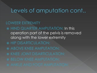 LOWEER EXTREMITY
 HIND QUARTER AMPUTATION: In this
operation part of the pelvis is removed
along with the lower extremity
 HIP DISARTICULATION:
 ABOVE KNEE AMPUTATION:
 KNEE JOINT DISARTICULATION:
 BELOW KNEE AMPUTATION:
 ANKLE AND FOOT AMPUTATION:
 
