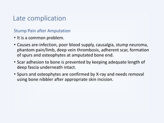 Late complication
Stump Pain after Amputation
• It is a common problem.
• Causes are-infection, poor blood supply, causalgia, stump neuroma,
phantom pain/limb, deep vein thrombosis, adherent scar, formation
of spurs and osteophytes at amputated bone end.
• Scar adhesion to bone is prevented by keeping adequate length of
deep fascia underneath intact.
• Spurs and osteophytes are confirmed by X-ray and needs removal
using bone nibbler after appropriate skin incision.
 