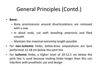 General Principles (Contd.)
• Bone:
– Bony prominences around disarticulations are removed
with a saw
– In distal ends, cut with bevelling anteriorly and filed
smooth
– Maintain the maximal extremity length possible
• For non-ischemic limbs, below-knee amputations are best
performed 12-18 cm below the joint line
• For ischemic limbs, a higher level of 10-12.5 cm below the
joint line is used because making limbs longer than this can
interfere with prosthetic use and design
 