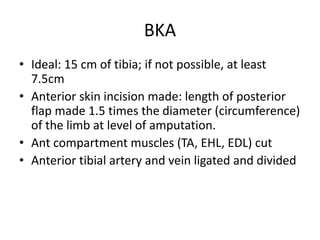 BKA
• Ideal: 15 cm of tibia; if not possible, at least
7.5cm
• Anterior skin incision made: length of posterior
flap made 1.5 times the diameter (circumference)
of the limb at level of amputation.
• Ant compartment muscles (TA, EHL, EDL) cut
• Anterior tibial artery and vein ligated and divided
 