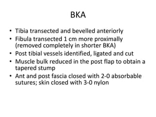 BKA
• Tibia transected and bevelled anteriorly
• Fibula transected 1 cm more proximally
(removed completely in shorter BKA)
• Post tibial vessels identified, ligated and cut
• Muscle bulk reduced in the post flap to obtain a
tapered stump
• Ant and post fascia closed with 2-0 absorbable
sutures; skin closed with 3-0 nylon
 