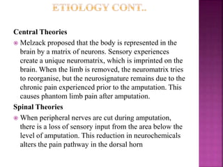 Central Theories
 Melzack proposed that the body is represented in the
brain by a matrix of neurons. Sensory experiences
create a unique neuromatrix, which is imprinted on the
brain. When the limb is removed, the neuromatrix tries
to reorganise, but the neurosignature remains due to the
chronic pain experienced prior to the amputation. This
causes phantom limb pain after amputation.
Spinal Theories
 When peripheral nerves are cut during amputation,
there is a loss of sensory input from the area below the
level of amputation. This reduction in neurochemicals
alters the pain pathway in the dorsal horn
 