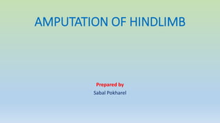AMPUTATION OF HINDLIMB
Prepared by
Sabal Pokharel
 