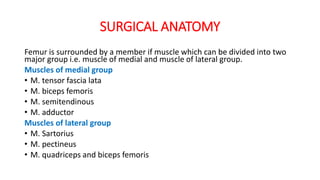 SURGICAL ANATOMY
Femur is surrounded by a member if muscle which can be divided into two
major group i.e. muscle of medial and muscle of lateral group.
Muscles of medial group
• M. tensor fascia lata
• M. biceps femoris
• M. semitendinous
• M. adductor
Muscles of lateral group
• M. Sartorius
• M. pectineus
• M. quadriceps and biceps femoris
 