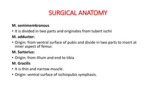 SURGICAL ANATOMY
M. semimembranous
• It is divided in two parts and originates from tubert ischii
M. adductor:
• Origin: from ventral surface of pubis and divide in two parts to insert at
inner aspect of femur.
M. Sartorius:
• Origin: from illium and end to tibia
M. Gracilis
• It is thin and narrow muscle.
• Origin: ventral surface of ischiopubis symphasis.
 