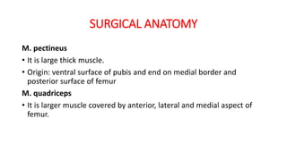 SURGICAL ANATOMY
M. pectineus
• It is large thick muscle.
• Origin: ventral surface of pubis and end on medial border and
posterior surface of femur
M. quadriceps
• It is larger muscle covered by anterior, lateral and medial aspect of
femur.
 
