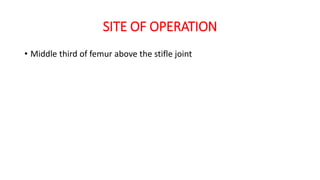 SITE OF OPERATION
• Middle third of femur above the stifle joint
 