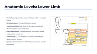 Anatomic Levels: Lower Limb
• Hemipelvectomy: Resection of part of the pelvis. Rare, usually for
tumors.
• Hip Disarticulation: Through the hip joint capsule.
• Transfemoral (AKA): Ideal length is 12cm above knee joint to
allow for prosthetic knee mechanism.
• Knee Disarticulation: End-bearing stump, but cosmetic issues
with prosthetic knee center.
• Transtibial (BKA): "The Workhorse". Preserves the knee joint,
vastly improving function.
• Syme’s: Ankle disarticulation with heel pad preservation. Excellent
end-bearing.
 