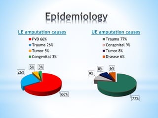 77%
9%
8% 6%
UE amputation causes
Trauma 77%
Congenital 9%
Tumor 8%
Disease 6%
66%
26%
5% 3%
LE amputation causes
PVD 66%
Trauma 26%
Tumor 5%
Congenital 3%
 