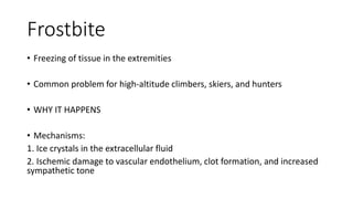 Frostbite
• Freezing of tissue in the extremities
• Common problem for high-altitude climbers, skiers, and hunters
• WHY IT HAPPENS
• Mechanisms:
1. Ice crystals in the extracellular fluid
2. Ischemic damage to vascular endothelium, clot formation, and increased
sympathetic tone
 