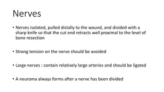 Nerves
• Nerves isolated, pulled distally to the wound, and divided with a
sharp knife so that the cut end retracts well proximal to the level of
bone resection
• Strong tension on the nerve should be avoided
• Large nerves : contain relatively large arteries and should be ligated
• A neuroma always forms after a nerve has been divided
 