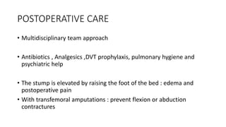 POSTOPERATIVE CARE
• Multidisciplinary team approach
• Antibiotics , Analgesics ,DVT prophylaxis, pulmonary hygiene and
psychiatric help
• The stump is elevated by raising the foot of the bed : edema and
postoperative pain
• With transfemoral amputations : prevent flexion or abduction
contractures
 