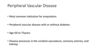 Peripheral Vascular Disease
• Most common indication for amputation
• Peripheral vascular disease with or without diabetes
• Age-50 to 75years
• Disease processes in the cerebral vasculature, coronary arteries, and
kidneys
 