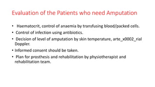 Evaluation of the Patients who need Amputation
• Haematocrit, control of anaemia by transfusing blood/packed cells.
• Control of infection using antibiotics.
• Decision of level of amputation by skin temperature, arte_x0002_rial
Doppler.
• Informed consent should be taken.
• Plan for prosthesis and rehabilitation by physiotherapist and
rehabilitation team.
 