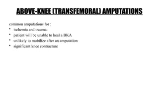 ABOVE-KNEE (TRANSFEMORAL) AMPUTATIONS
common amputations for :
• ischemia and trauma.
• patient will be unable to heal a BKA
• unlikely to mobilize after an amputation
• significant knee contracture
 