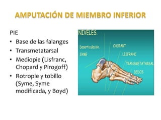 PIE
• Base de las falanges
• Transmetatarsal
• Mediopie (Lisfranc,
Chopard y Pirogoff)
• Rotropie y tobillo
(Syme, Syme
modificada, y Boyd)

 