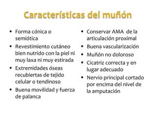  Forma cónica o
semiótica
 Revestimiento cutáneo
bien nutrido con la piel ni
muy laxa ni muy estirada
 Extremidades óseas
recubiertas de tejido
celular o tendinoso
 Buena movilidad y fuerza
de palanca

 Conservar AMA de la
articulación proximal
 Buena vascularización
 Muñón no doloroso
 Cicatriz correcta y en
lugar adecuado
 Nervio principal cortado
por encima del nivel de
la amputación

 