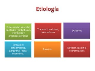 Enfermedad vascular
periférica (embolismo,
trombosis y
arterioesclerosis)

Trauma: tracciones,
quemaduras.

Diabetes

Infección:
osteomielitis,
gangrena, lepra,
micetoma.

Tumores

Deficiencias en la
extremidades

 