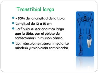 Transtibial larga
> 50% de la longitud de la tibia
Longitud de 10 a 15 cm
La fíbula se secciona más largo
que la tibia,...