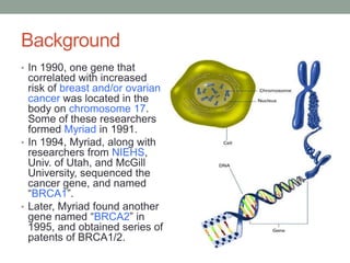 Background
• In 1990, one gene that
  correlated with increased
  risk of breast and/or ovarian
  cancer was located in the
  body on chromosome 17.
  Some of these researchers
  formed Myriad in 1991.
• In 1994, Myriad, along with
  researchers from NIEHS,
  Univ. of Utah, and McGill
  University, sequenced the
  cancer gene, and named
  “BRCA1”.
• Later, Myriad found another
  gene named “BRCA2” in
  1995, and obtained series of
  patents of BRCA1/2.
 