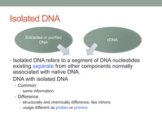 Isolated DNA
      Extracted or purified
                                                      cDNA
              DNA



• Isolated DNA refers to a segment of DNA nucleotides
  existing separate from other components normally
  associated with native DNA.
• DNA with isolated DNA
 • Common
   • same information
 • Difference
   • structurally and chemically difference, like introns
   • usage different as probes or primers
 