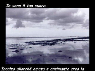 Io sono il tuo cuore .  Incalzo allorché amata e ansimante creo la sete.   