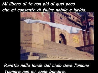 Mi libero di te non più di quel poco che mi consente di fluire nobile e lurida. Paratia nelle lande del cielo dove l’umano  Tuonare non mi vuole bandire. 