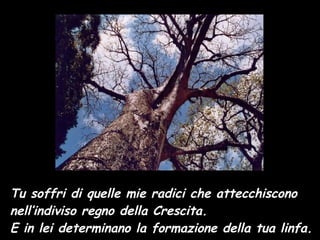 Tu soffri di quelle mie radici che attecchiscono nell’indiviso regno della Crescita. E in lei determinano la formazione della tua linfa. 