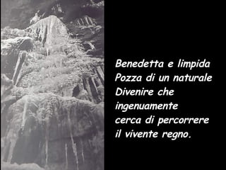 Benedetta e limpida  Pozza di un naturale  Divenire che  ingenuamente  cerca di percorrere  il vivente regno. 