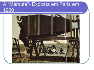A “Mamute”- Exposta em Paris em
1900
 