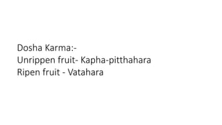 Dosha Karma:- 
Unrippen fruit- Kapha-pitthahara 
Ripen fruit - Vatahara 
 