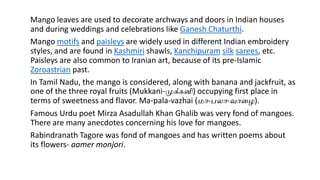 Mango leaves are used to decorate archways and doors in Indian houses 
and during weddings and celebrations like Ganesh Chaturthi. 
Mango motifs and paisleys are widely used in different Indian embroidery 
styles, and are found in Kashmiri shawls, Kanchipuram silk sarees, etc. 
Paisleys are also common to Iranian art, because of its pre-Islamic 
Zoroastrian past. 
In Tamil Nadu, the mango is considered, along with banana and jackfruit, as 
one of the three royal fruits (Mukkani-முக்கனி) occupying first place in 
terms of sweetness and flavor. Ma-pala-vazhai (மா-பலா-வாழை). 
Famous Urdu poet Mirza Asadullah Khan Ghalib was very fond of mangoes. 
There are many anecdotes concerning his love for mangoes. 
Rabindranath Tagore was fond of mangoes and has written poems about 
its flowers- aamer monjori. 
 