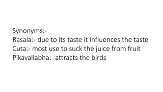 Synonyms:- 
Rasala:- due to its taste it influences the taste 
Cuta:- most use to suck the juice from fruit 
Pikavallabha:- attracts the birds 
 