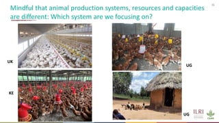 Antimicrobial resistance in the animal sector