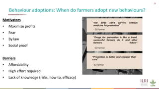 Antimicrobial resistance in the animal sector
