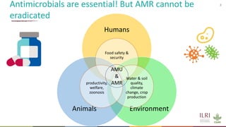 Antimicrobial resistance in the animal sector