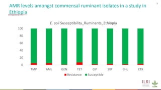 Antimicrobial resistance in the animal sector