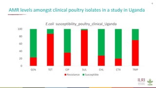 Antimicrobial resistance in the animal sector