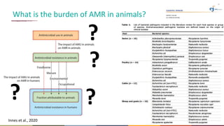 Antimicrobial resistance in the animal sector