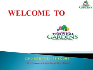 Call @ 9818547722 / 9818529966
http://www.amrapalitropicalgarden.org
 