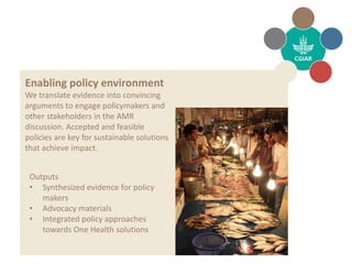 Antimicrobial Resistance Hub 