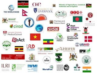 Antimicrobial Resistance Hub 