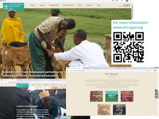 Antimicrobial Resistance Hub 