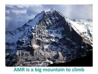 Antimicrobial Resistance Hub 