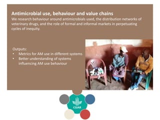 Antimicrobial Resistance Hub 