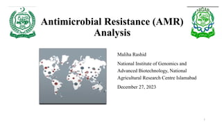 Antimicrobial Resistance Analysis by Maliha Rashid | PPTX