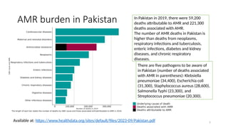 Antimicrobial Resistance Analysis by Maliha Rashid | PPTX